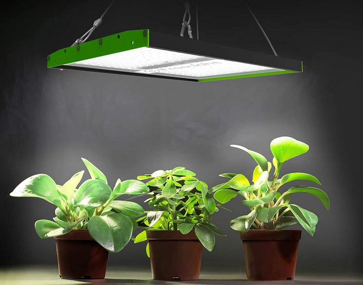 The Only Hydroponic Lighting Guide You NEED!
