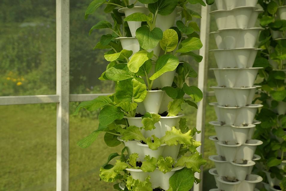 The Advantages of Using Vertical Hydroponic Systems