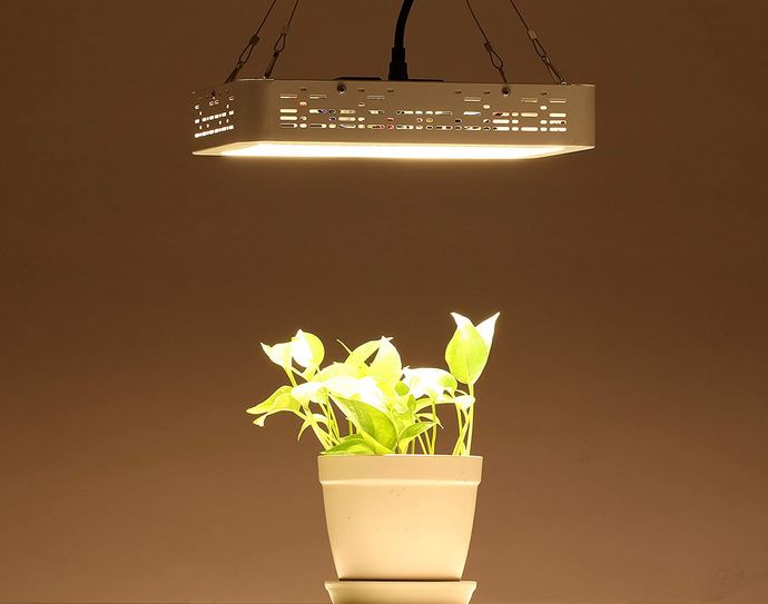 What's the Minimum Amount of Light Hydroponics Systems Need?
