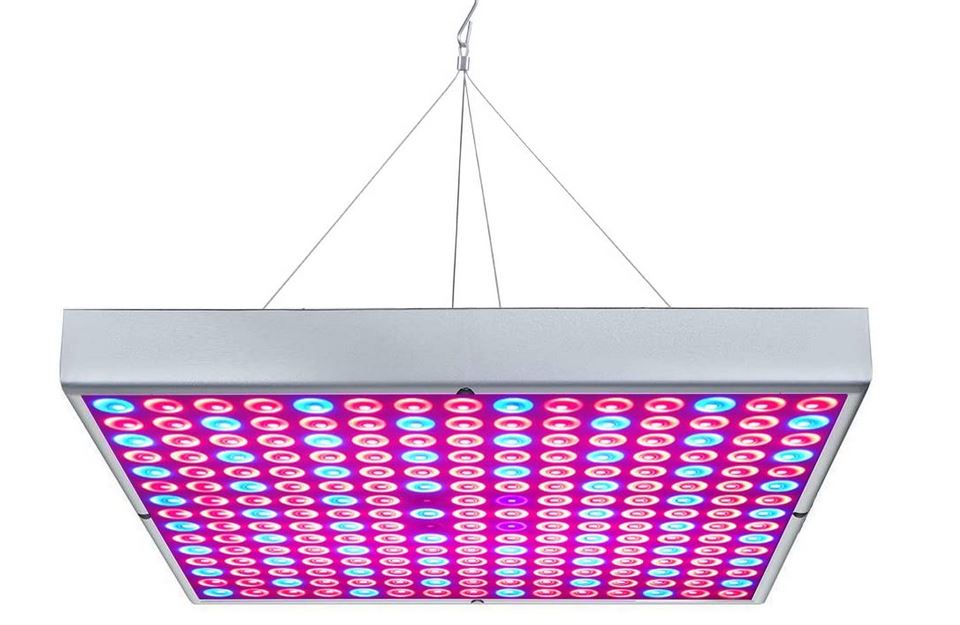 The Best Hydroponic Led Lights - An Alternative to HIDs?