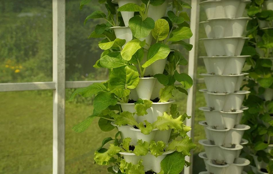 PVC Hydroponic Tree - Building One Yourself!